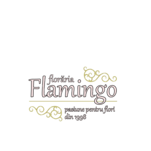 floriaria flamingo logo final